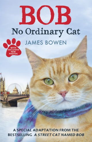 Cover image for 9781444764901 - Bob