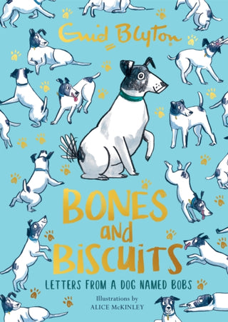 Cover image for 9781444963366 - Bones and Biscuits
