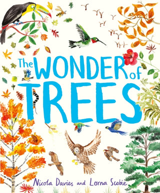 Cover image for 9781444978704 - The Wonder of Trees
