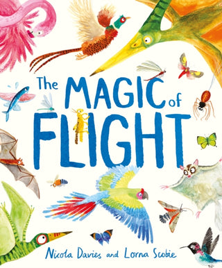 Cover image for 9781444980691 - The Magic of Flight