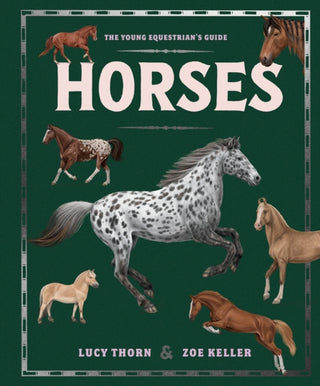 Cover image for 9781444981247 - Horses