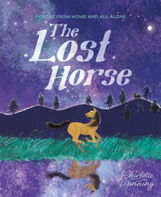 Cover image for 9781445181424 - The Lost Horse