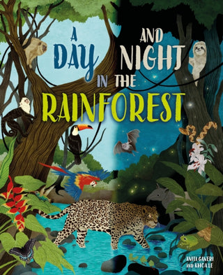 Cover image for 9781445191676 - Day and Night: In a Rainforest