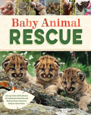 Cover image for 9781445195612 - Baby Animal Rescue
