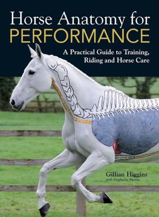 Cover image for 9781446300961 - Horse Anatomy for Performance