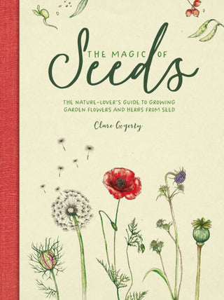 Cover image for 9781446309544 - The Magic of Seeds