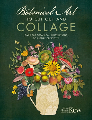 Cover image for 9781446309933 - Botanical Art to Cut out and Collage