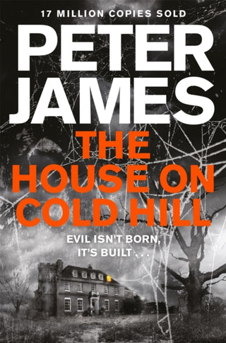 Cover image for 9781447255949 - The House on Cold Hill