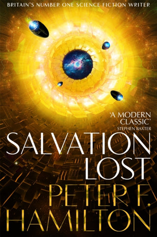 Cover image for 9781447281382 - Salvation Lost