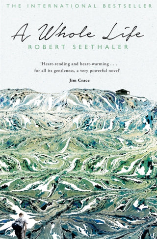 Cover image for 9781447283904 - A Whole Life