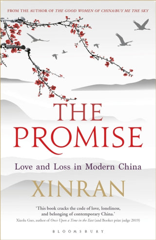 Cover image for 9781448217892 - The Promise