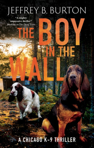 Cover image for 9781448319039 - The Boy in the Wall