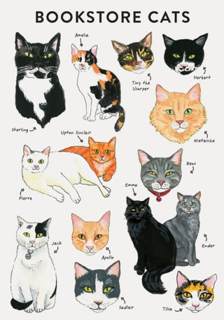 Supplemental image for 9781452167275 - Bibliophile Flexi Journal: Bookstore Cats