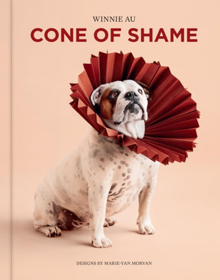Cover image for 9781454949169 - Cone of Shame