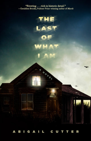 Cover image for 9781454951780 - The Last of What I Am