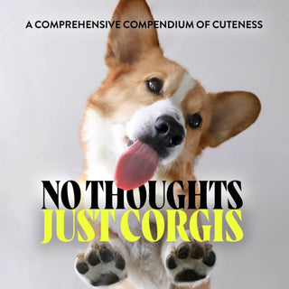 Cover image for 9781454951858 - No Thoughts Just Corgis