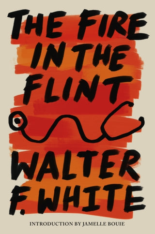Supplemental image for 9781454957447 - The Fire in the Flint