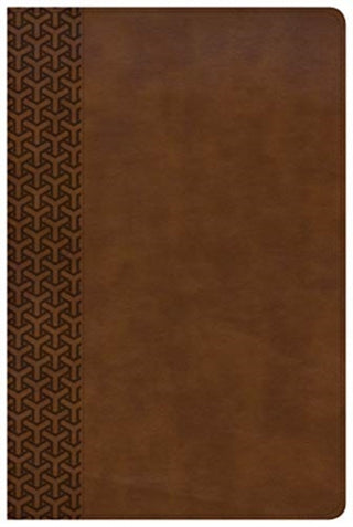Cover image for 9781462796946 - CSB Everyday Study Bible, British Tan LeatherTouch