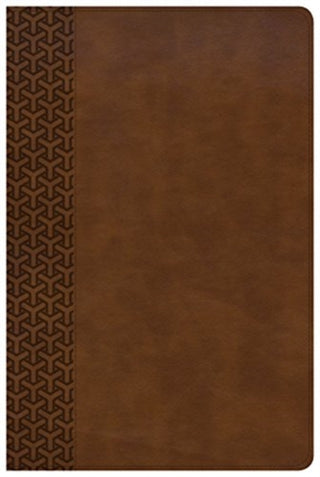 Cover image for 9781462796960 - KJV Everyday Study Bible, British Tan LeatherTouch