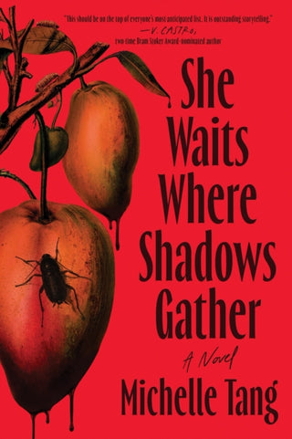 Cover image for 9781464251047 - She Waits Where Shadows Gather