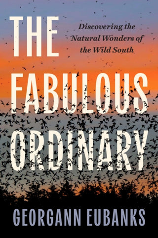 Cover image for 9781469685922 - The Fabulous Ordinary