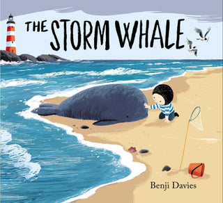 Cover image for 9781471164569 - The Storm Whale