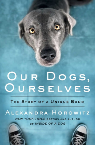 Cover image for 9781471185182 - Our Dogs, Ourselves