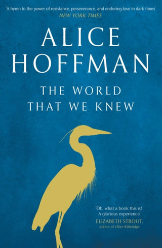 Supplemental image for 9781471185854 - The World That We Knew