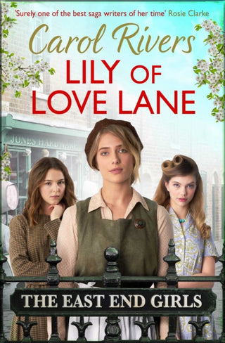 Cover image for 9781471192258 - Lily of Love Lane