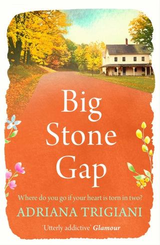 Cover image for 9781471192579 - Big Stone Gap
