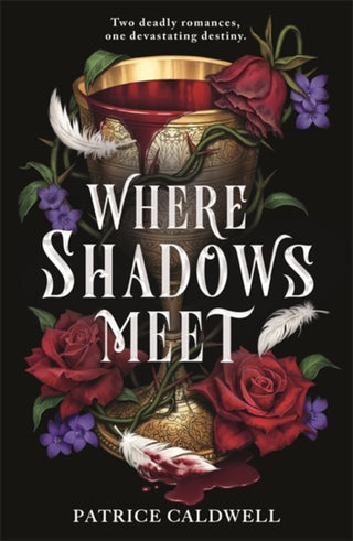 Supplemental image for 9781471411861 - Where Shadows Meet