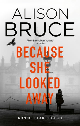Supplemental image for 9781472123916 - Because She Looked Away