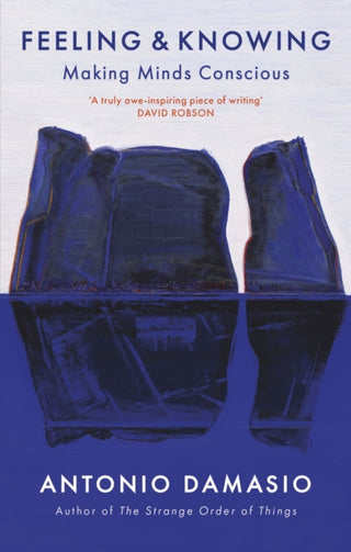 Cover image for 9781472147349 - Feeling and Knowing