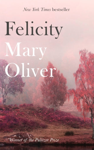 Cover image for 9781472153739 - Felicity