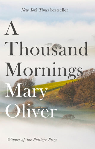 Cover image for 9781472153760 - A Thousand Mornings