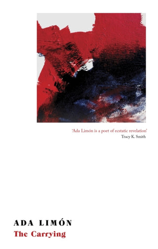 Cover image for 9781472154552 - The Carrying