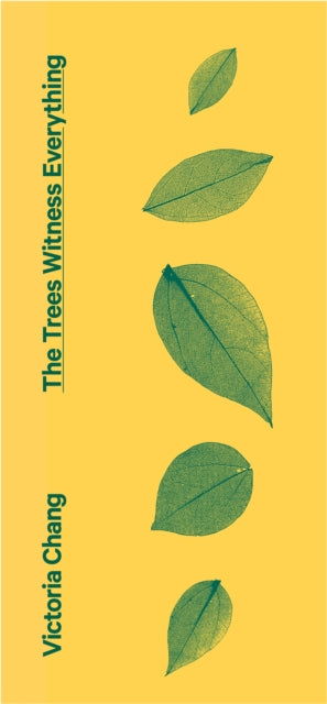 Cover image for 9781472157454 - The Trees Witness Everything