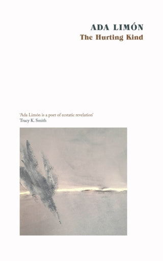 Cover image for 9781472157683 - The Hurting Kind