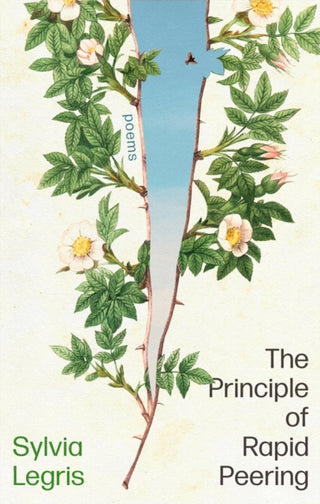 Cover image for 9781472158864 - The Principle of Rapid Peering