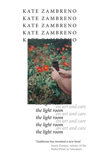 Cover image for 9781472158932 - The Light Room