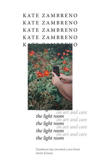Cover image for 9781472158949 - The Light Room