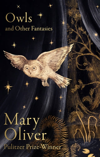 Cover image for 9781472160935 - Owls and Other Fantasies