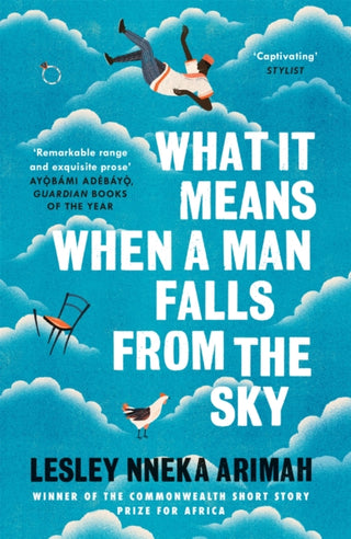 Cover image for 9781472239631 - What It Means When A Man Falls From The Sky