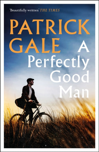 Cover image for 9781472255426 - A Perfectly Good Man
