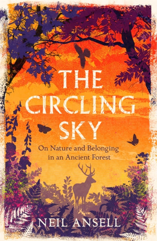 Cover image for 9781472272379 - The Circling Sky