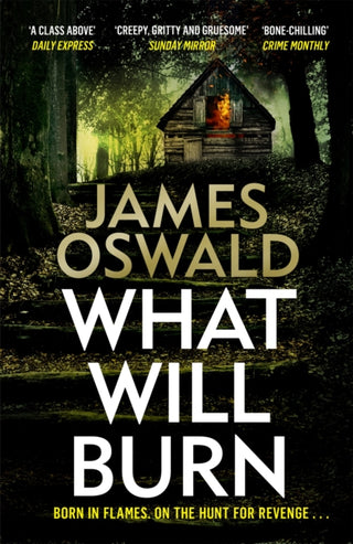 Cover image for 9781472276186 - What Will Burn