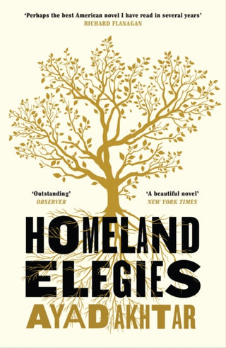 Cover image for 9781472276896 - Homeland Elegies