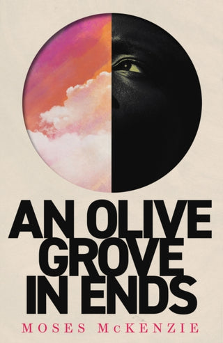 Cover image for 9781472283153 - An Olive Grove in Ends