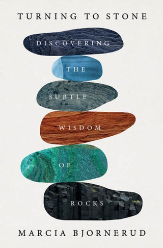Cover image for 9781472298454 - Turning to Stone