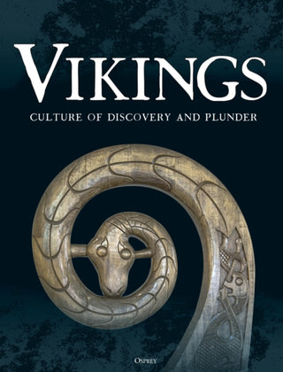 Cover image for 9781472872296 - Vikings